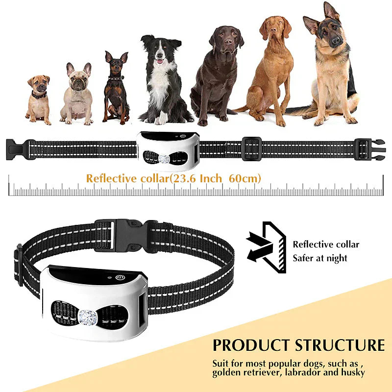 BoundaRoam - 2-In-1 Wireless Dog Fence