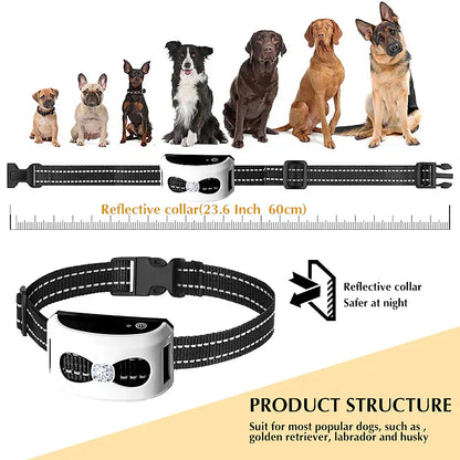 BoundaRoam - 2-In-1 Wireless Dog Fence
