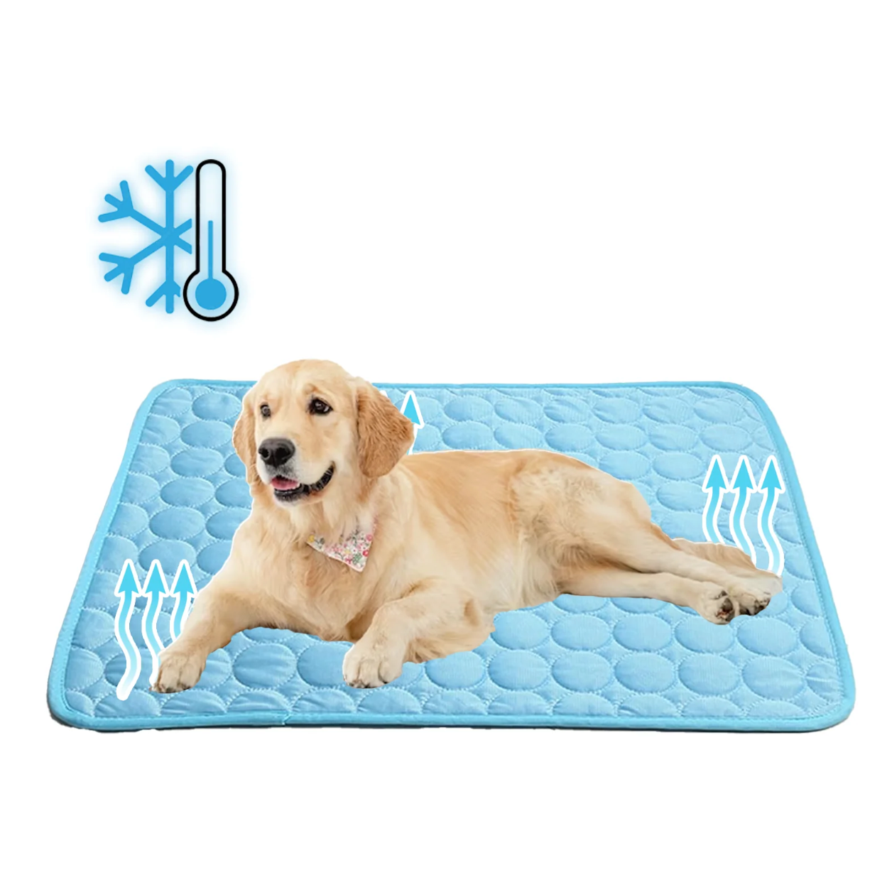 Chillmutt - Self-Cooling Portable Pet Mat