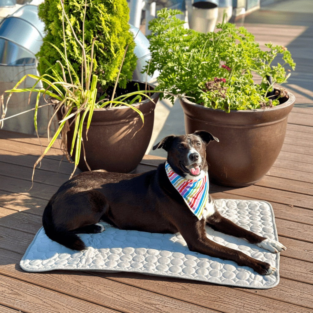 Chillova - Self-Cooling Quilted Dog Crate Mat
