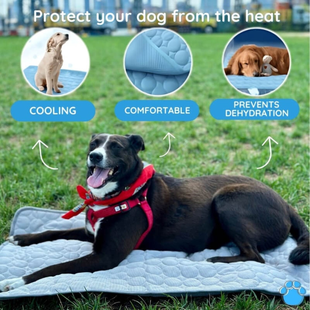 Chillova - Self-Cooling Quilted Dog Crate Mat