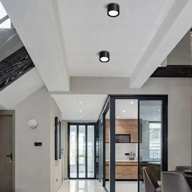 Elysian LED Downlight | Adjustable Surface Mount, Durable Aluminum, Tri-Colour Options 2