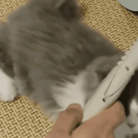 Knavo - Motorized Pet Grooming Tool