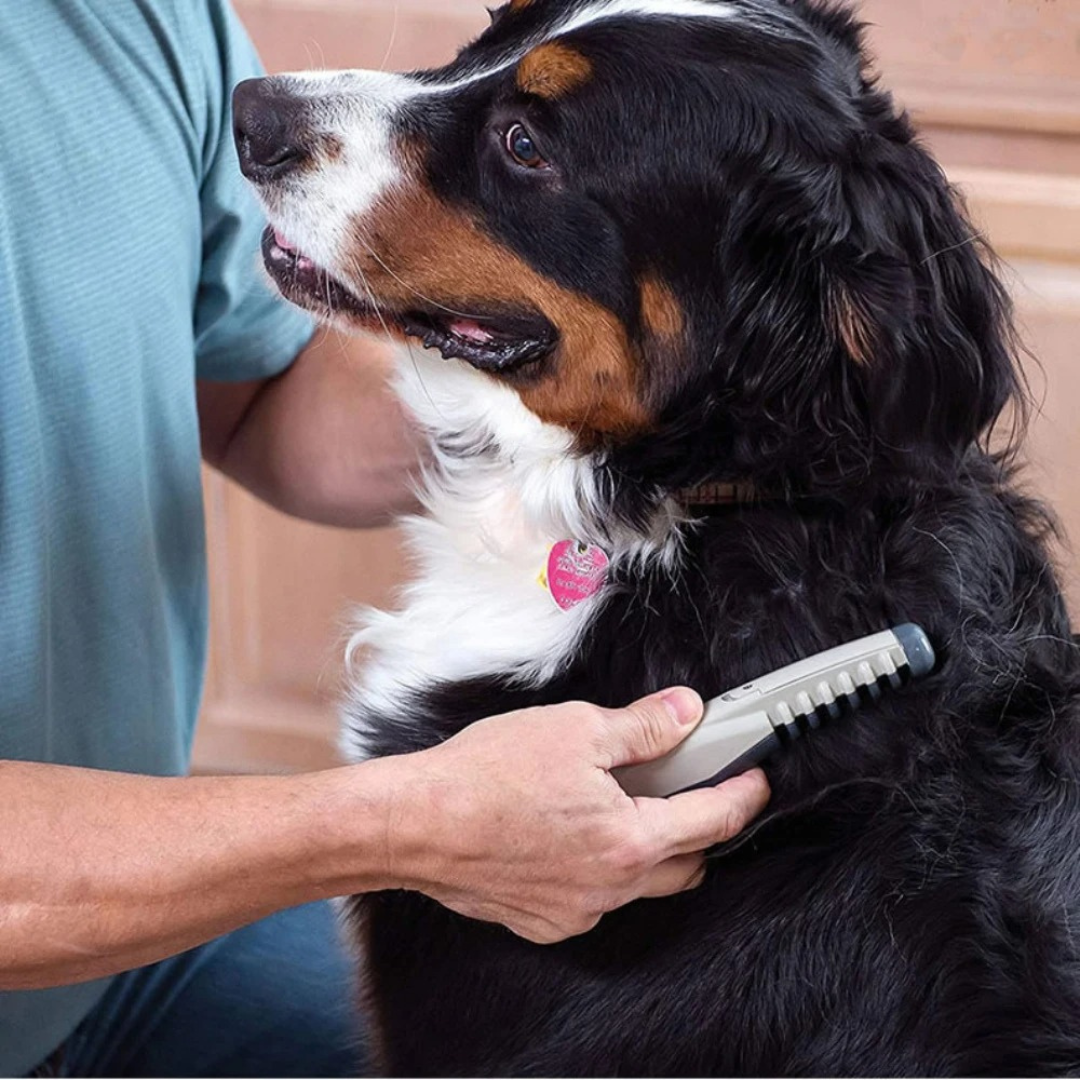 Knavo - Motorized Pet Grooming Tool