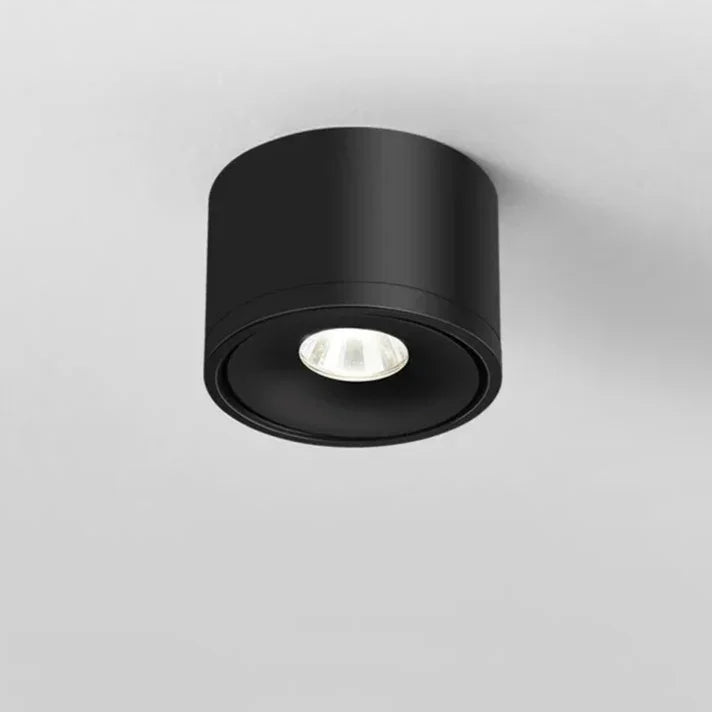 Pavla Downlight | Adjustable LED Spotlight, Surface Mounted, Aluminum 0