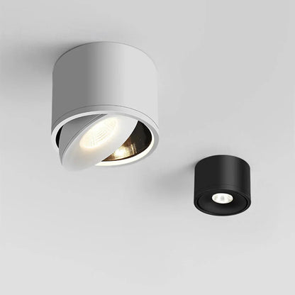 Pavla Downlight | Adjustable LED Spotlight, Surface Mounted, Aluminum 1