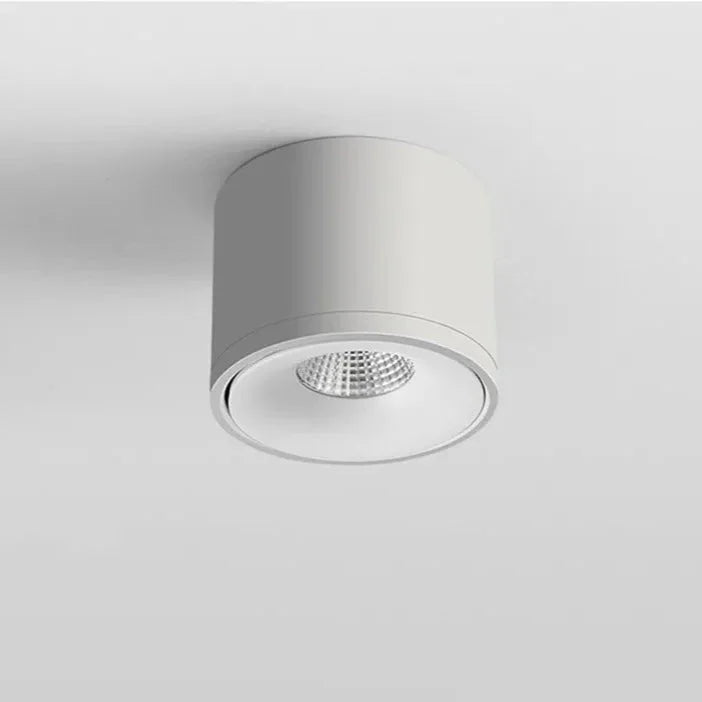 Pavla Downlight | Adjustable LED Spotlight, Surface Mounted, Aluminum 6