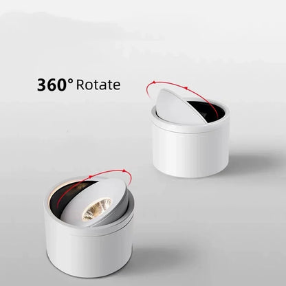 Pavla Downlight | Adjustable LED Spotlight, Surface Mounted, Aluminum 7