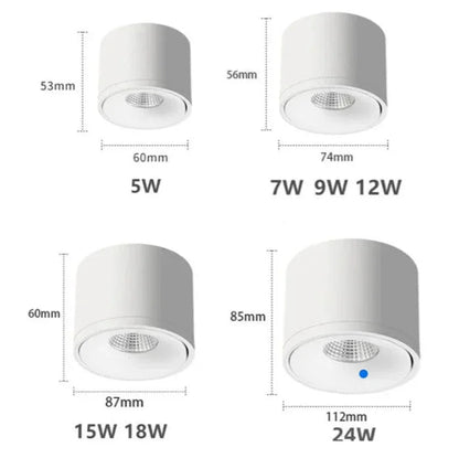 Pavla Downlight | Adjustable LED Spotlight, Surface Mounted, Aluminum 8