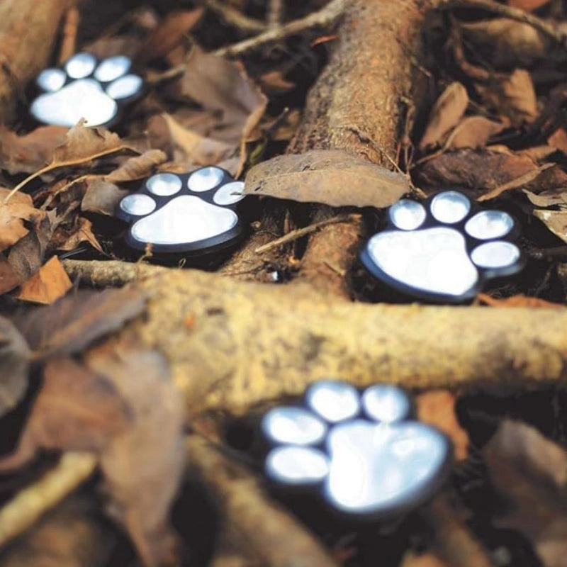 PawGlow Solar Garden Light | Waterproof, Dusk Sensor 1