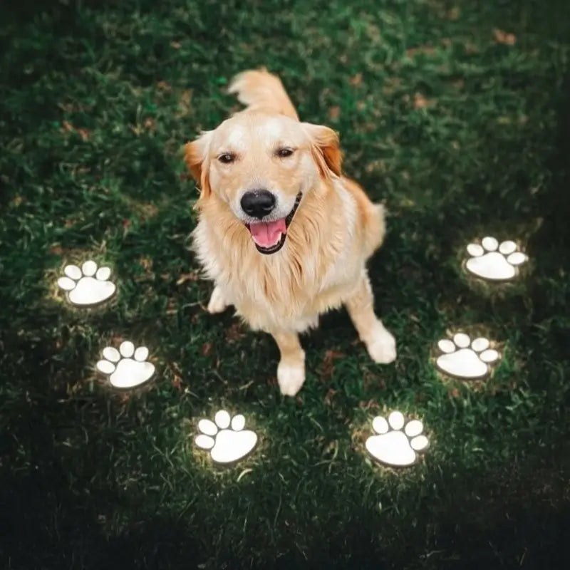 PawGlow Solar Garden Light | Waterproof, Dusk Sensor 2