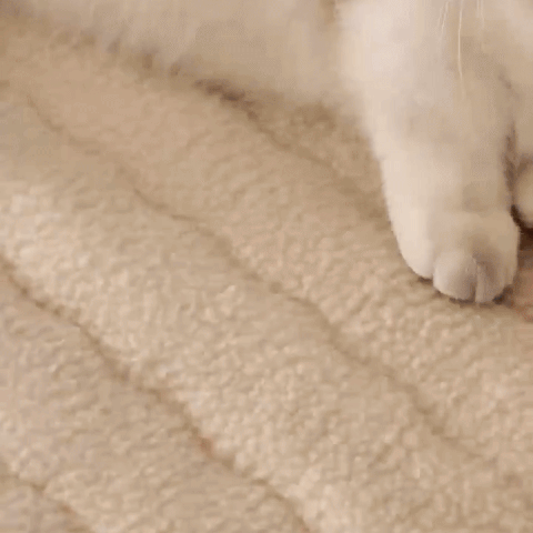 PlushGuard - Plush Textured Sofa Cover