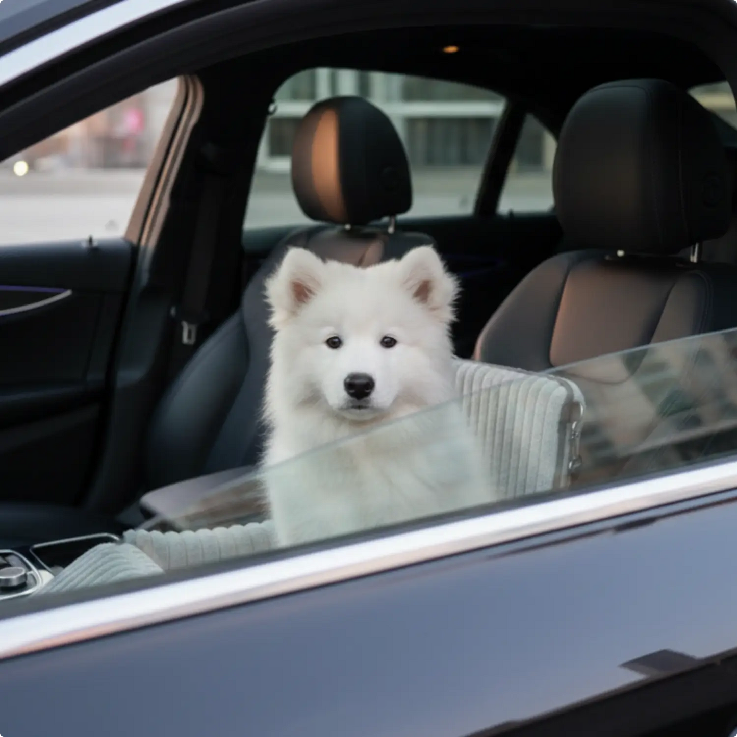 Pupcruiser - Elevated Dog Car Booster Seat
