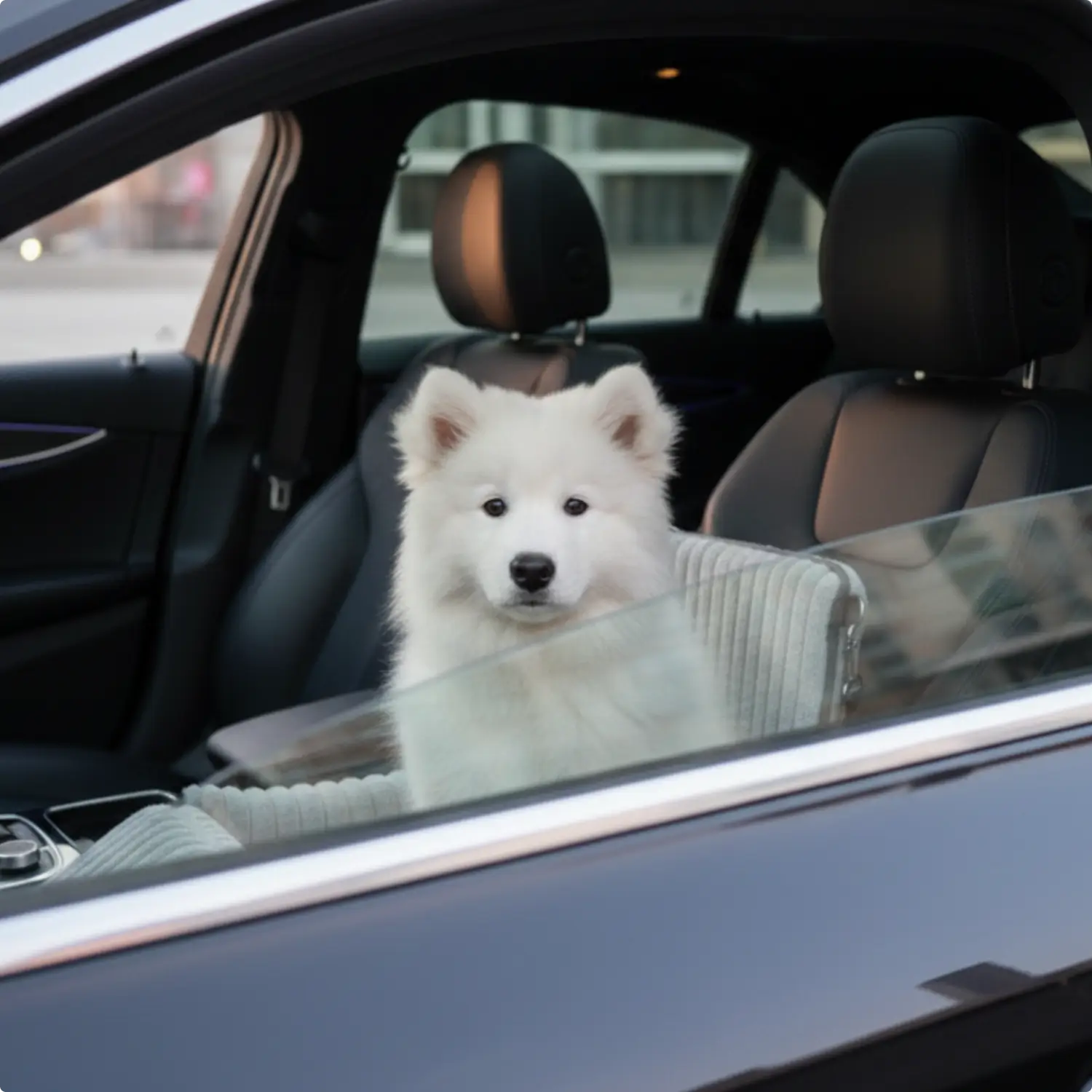 Pupcruiser - Elevated Dog Car Booster Seat