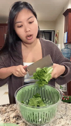 Spinnova - Manual Rotary Big Salad Spinner