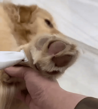 TrimPaws - Cordless Pet Grooming Hair Clipper