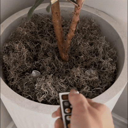 Vextar - Battery Operated LED Spotlight