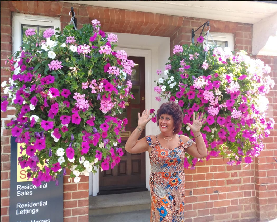 ViraVine - Artificial Hanging Plant With Pink Flowers