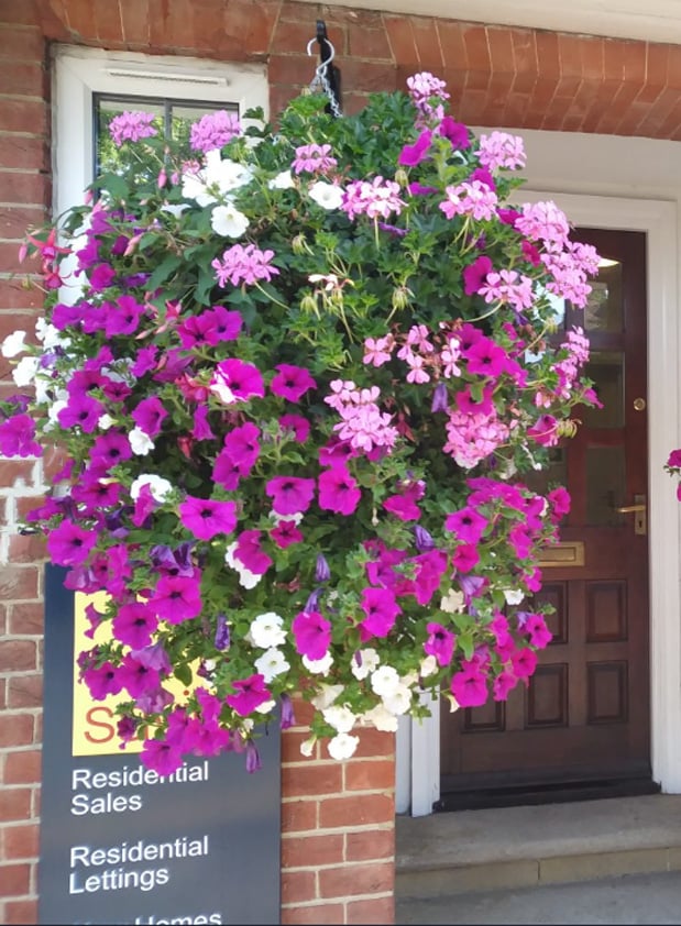 ViraVine - Artificial Hanging Plant With Pink Flowers