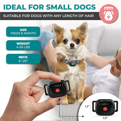Zenvira - Vibrating Small Dog Bark Collar