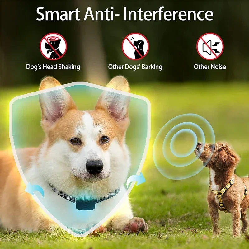 Zenvira - Vibrating Small Dog Bark Collar